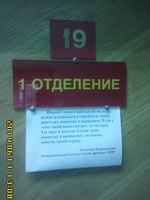 citataSHirik