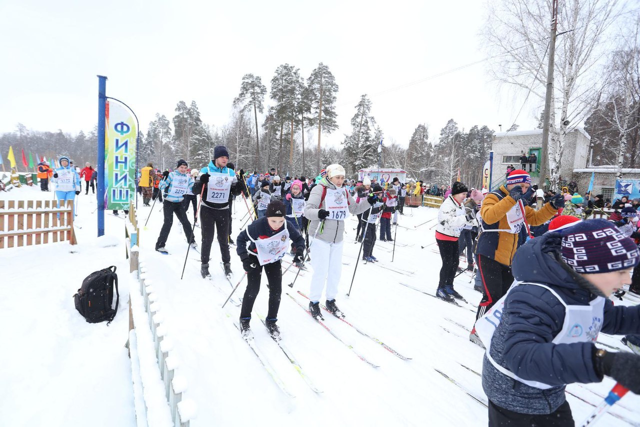 lysgnya1